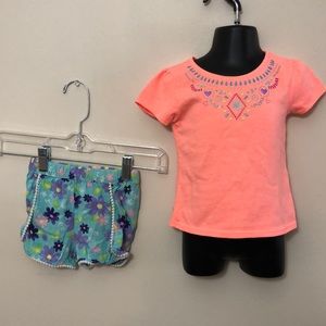 Bundle of toddler girls shorts & t-shirt, size 2T Garanamals
